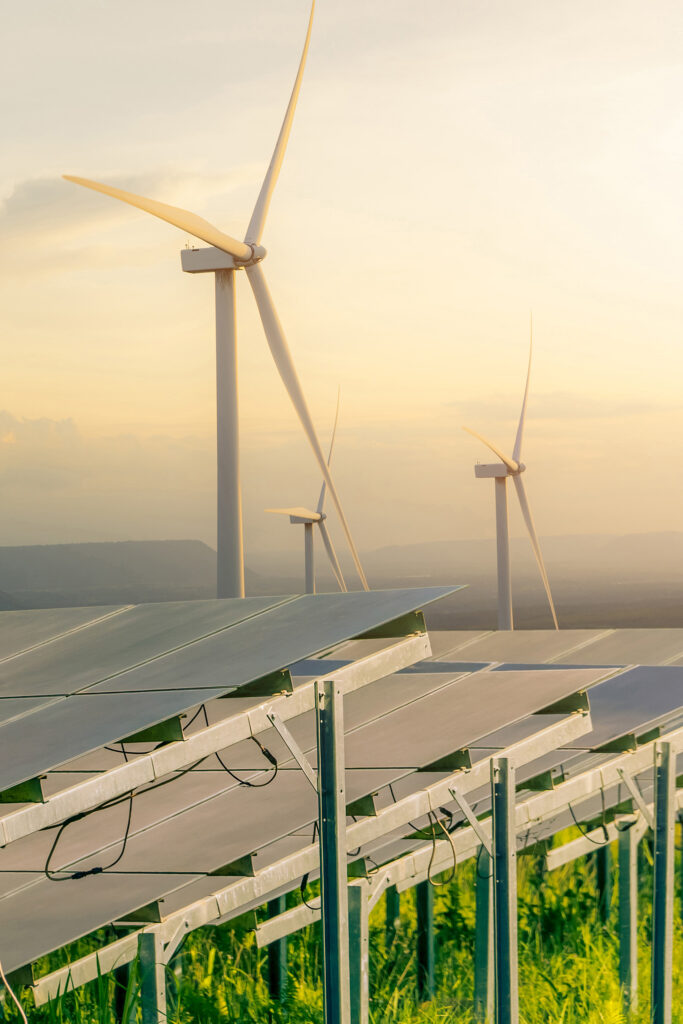 energia renovable en pagoaga